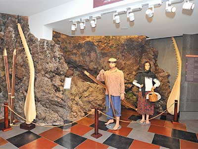 Cachalote Museum